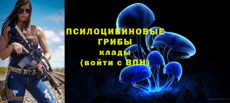 Галлюциногенные грибы Magic Shrooms  Новошахтинск 