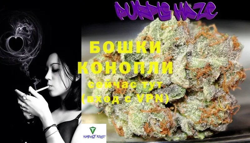 продажа наркотиков  Новошахтинск  МАРИХУАНА VHQ 